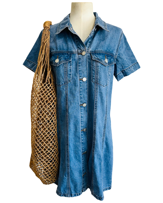 AVALON DENIM DRESS