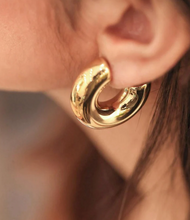 Load image into Gallery viewer, BIJOUX EARRING 223